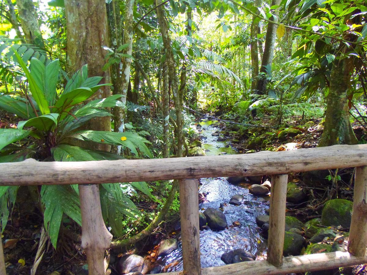 Hotel Valle Azul San Gerardo Camera foto