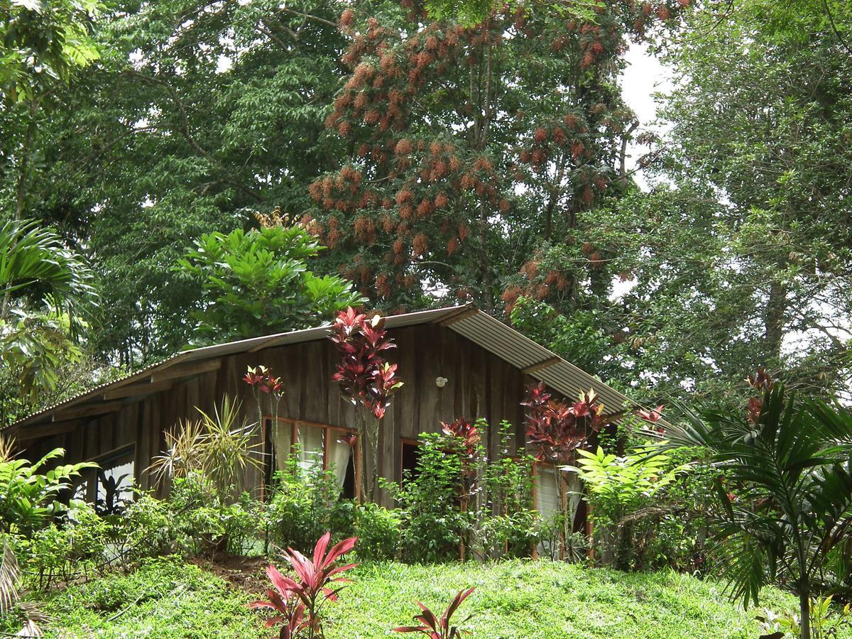 Hotel Valle Azul San Gerardo Camera foto