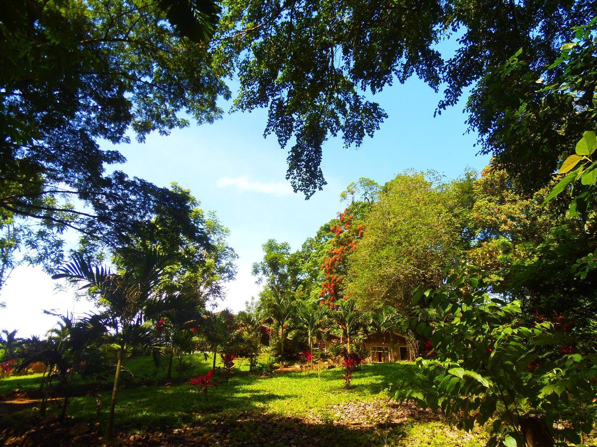 Hotel Valle Azul San Gerardo Camera foto