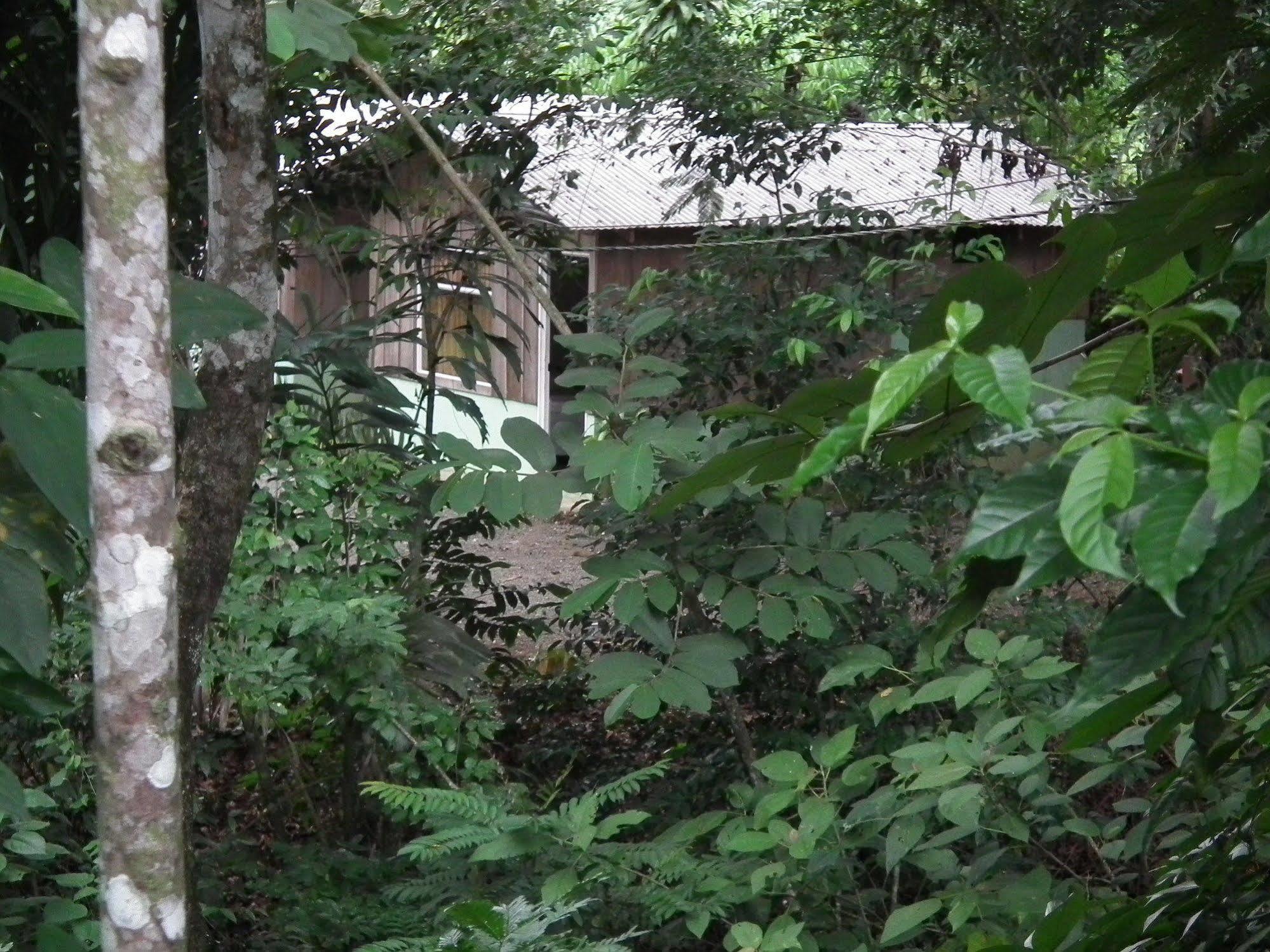 Hotel Valle Azul San Gerardo Esterno foto
